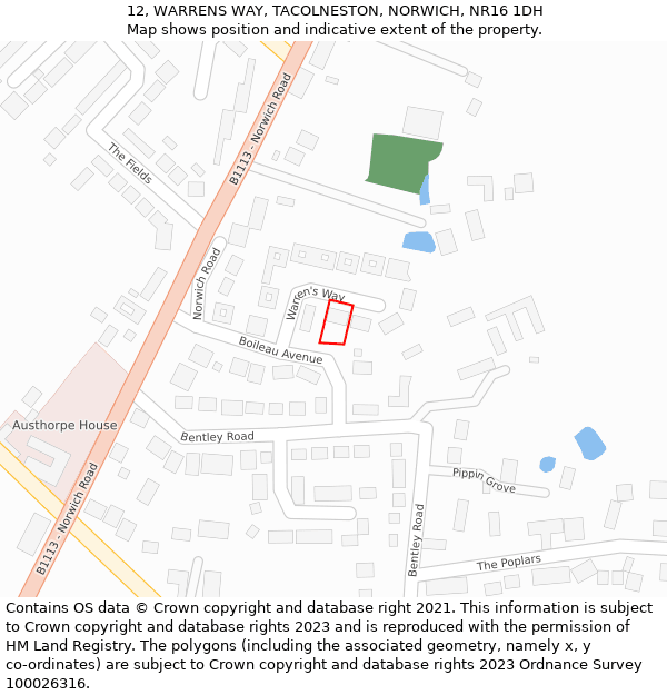 12, WARRENS WAY, TACOLNESTON, NORWICH, NR16 1DH: Location map and indicative extent of plot