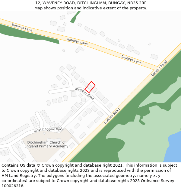 12, WAVENEY ROAD, DITCHINGHAM, BUNGAY, NR35 2RF: Location map and indicative extent of plot