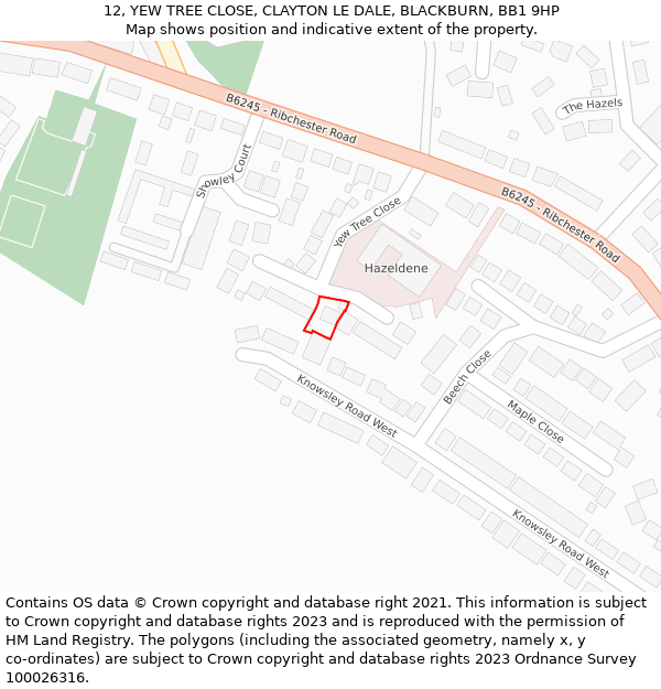12, YEW TREE CLOSE, CLAYTON LE DALE, BLACKBURN, BB1 9HP: Location map and indicative extent of plot