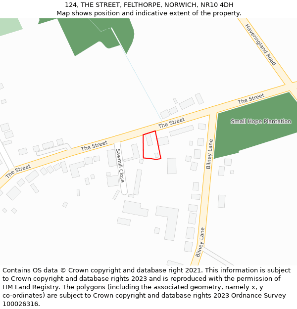 124, THE STREET, FELTHORPE, NORWICH, NR10 4DH: Location map and indicative extent of plot