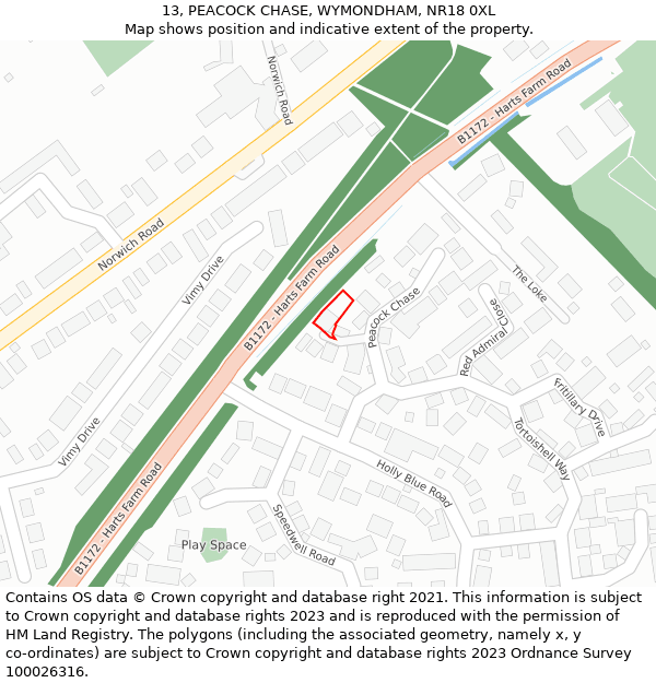 13, PEACOCK CHASE, WYMONDHAM, NR18 0XL: Location map and indicative extent of plot