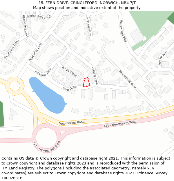 15, FERN DRIVE, CRINGLEFORD, NORWICH, NR4 7JT: Location map and indicative extent of plot