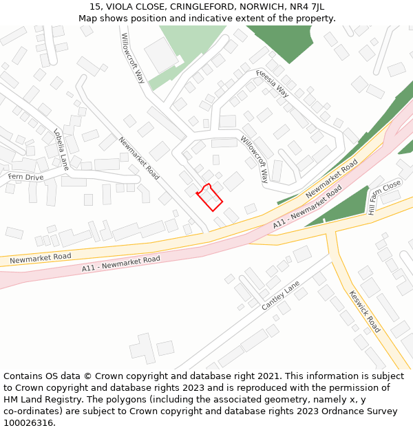 15, VIOLA CLOSE, CRINGLEFORD, NORWICH, NR4 7JL: Location map and indicative extent of plot