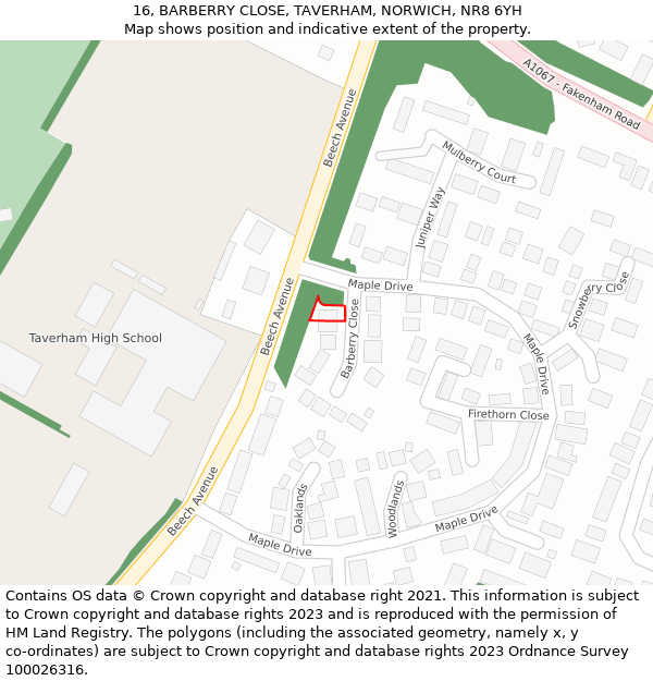 16, BARBERRY CLOSE, TAVERHAM, NORWICH, NR8 6YH: Location map and indicative extent of plot