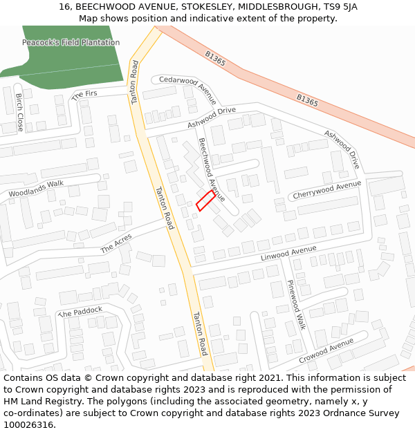 16, BEECHWOOD AVENUE, STOKESLEY, MIDDLESBROUGH, TS9 5JA: Location map and indicative extent of plot