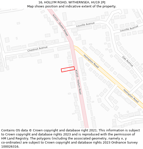 16, HOLLYM ROAD, WITHERNSEA, HU19 2PJ: Location map and indicative extent of plot