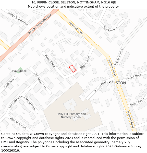 16, PIPPIN CLOSE, SELSTON, NOTTINGHAM, NG16 6JE: Location map and indicative extent of plot