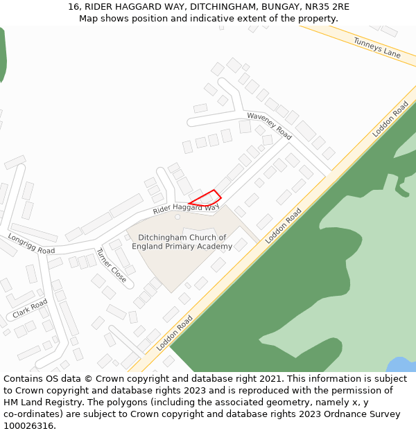 16, RIDER HAGGARD WAY, DITCHINGHAM, BUNGAY, NR35 2RE: Location map and indicative extent of plot