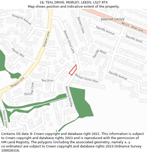 16, TEAL DRIVE, MORLEY, LEEDS, LS27 8TX: Location map and indicative extent of plot
