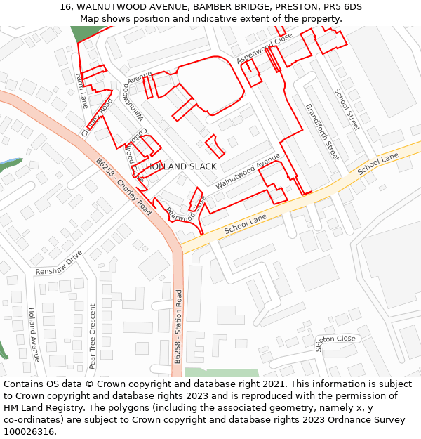 16, WALNUTWOOD AVENUE, BAMBER BRIDGE, PRESTON, PR5 6DS: Location map and indicative extent of plot