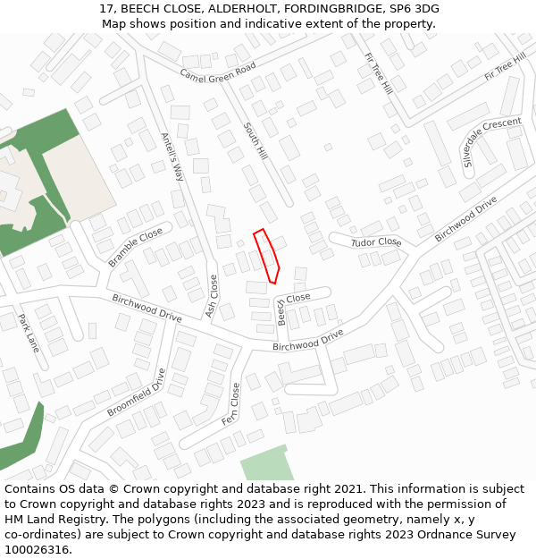 17, BEECH CLOSE, ALDERHOLT, FORDINGBRIDGE, SP6 3DG: Location map and indicative extent of plot