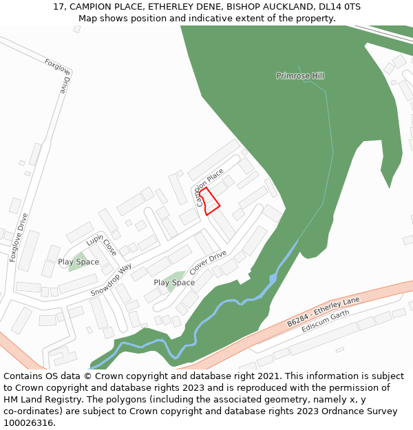 17, CAMPION PLACE, ETHERLEY DENE, BISHOP AUCKLAND, DL14 0TS: Location map and indicative extent of plot