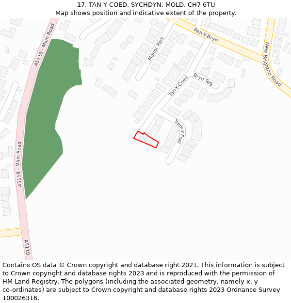 17, TAN Y COED, SYCHDYN, MOLD, CH7 6TU: Location map and indicative extent of plot