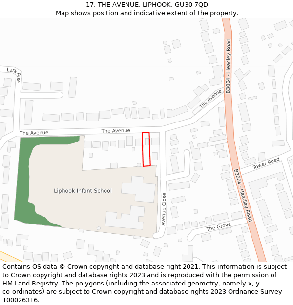 17, THE AVENUE, LIPHOOK, GU30 7QD: Location map and indicative extent of plot