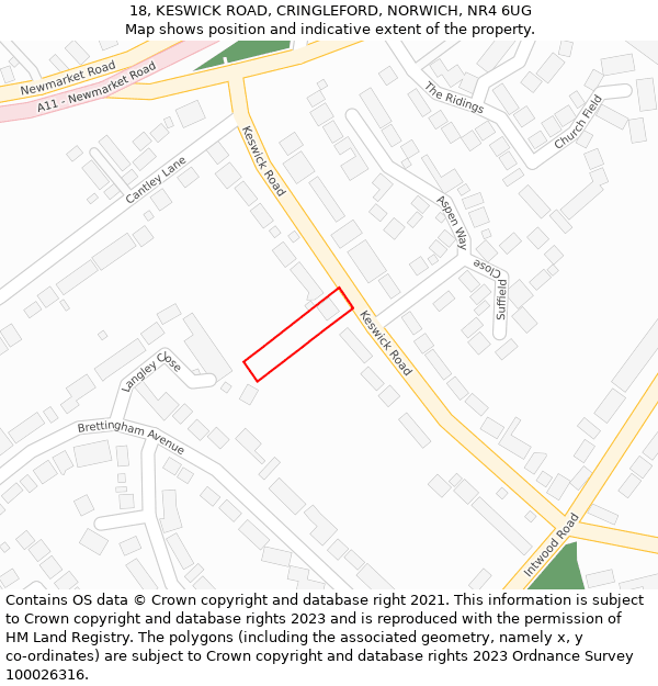 18, KESWICK ROAD, CRINGLEFORD, NORWICH, NR4 6UG: Location map and indicative extent of plot