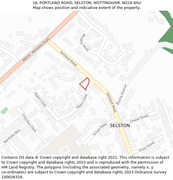 18, PORTLAND ROAD, SELSTON, NOTTINGHAM, NG16 6AU: Location map and indicative extent of plot