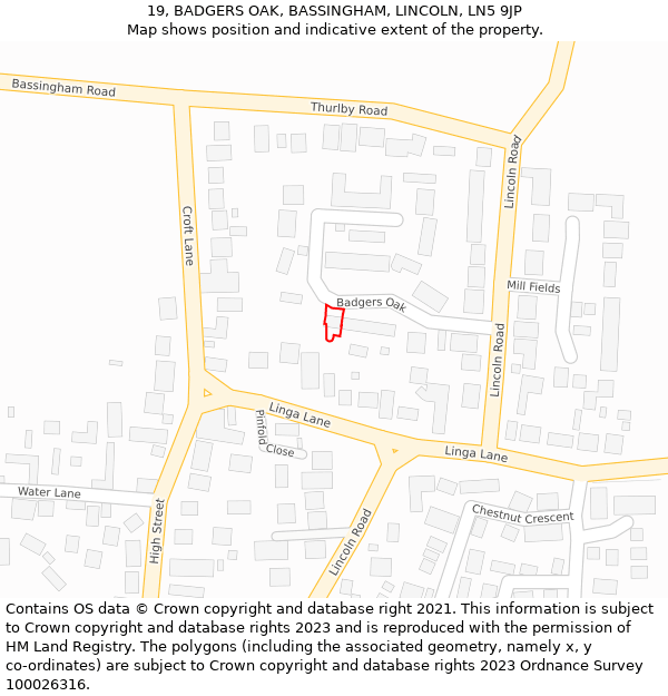 19, BADGERS OAK, BASSINGHAM, LINCOLN, LN5 9JP: Location map and indicative extent of plot