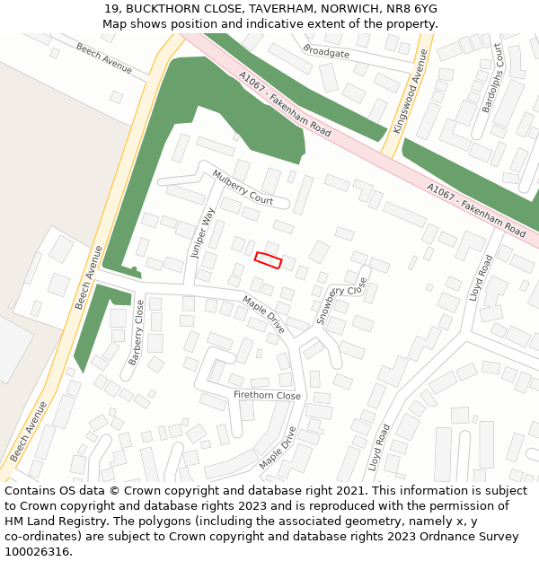 19, BUCKTHORN CLOSE, TAVERHAM, NORWICH, NR8 6YG: Location map and indicative extent of plot