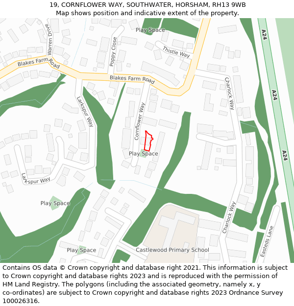 19, CORNFLOWER WAY, SOUTHWATER, HORSHAM, RH13 9WB: Location map and indicative extent of plot