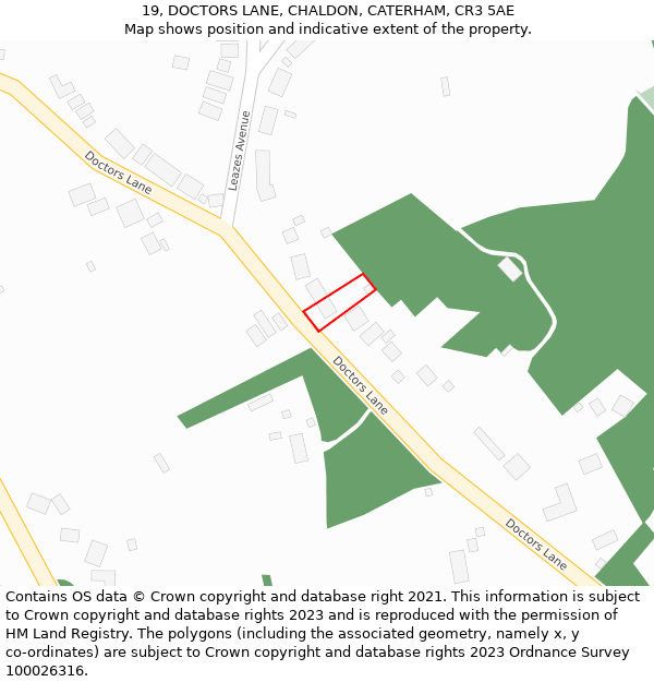 19, DOCTORS LANE, CHALDON, CATERHAM, CR3 5AE: Location map and indicative extent of plot