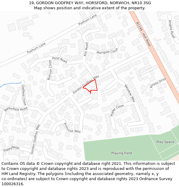 19, GORDON GODFREY WAY, HORSFORD, NORWICH, NR10 3SG: Location map and indicative extent of plot