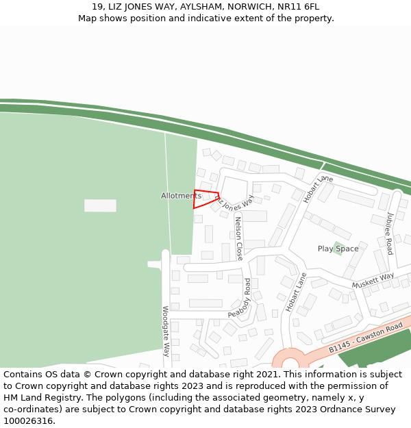 19, LIZ JONES WAY, AYLSHAM, NORWICH, NR11 6FL: Location map and indicative extent of plot