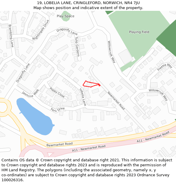 19, LOBELIA LANE, CRINGLEFORD, NORWICH, NR4 7JU: Location map and indicative extent of plot