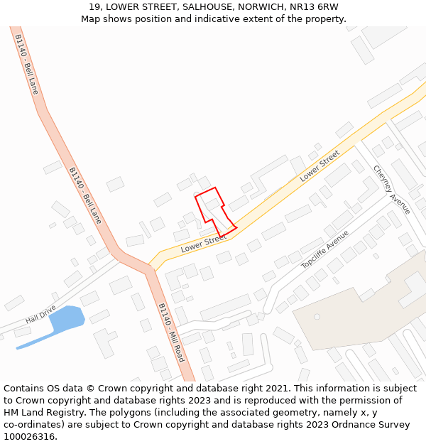 19, LOWER STREET, SALHOUSE, NORWICH, NR13 6RW: Location map and indicative extent of plot