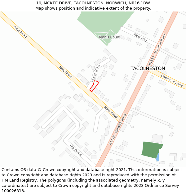 19, MCKEE DRIVE, TACOLNESTON, NORWICH, NR16 1BW: Location map and indicative extent of plot