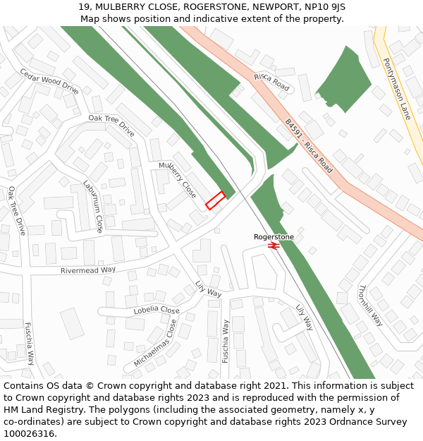 19, MULBERRY CLOSE, ROGERSTONE, NEWPORT, NP10 9JS: Location map and indicative extent of plot