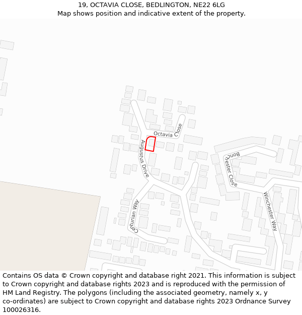 19, OCTAVIA CLOSE, BEDLINGTON, NE22 6LG: Location map and indicative extent of plot