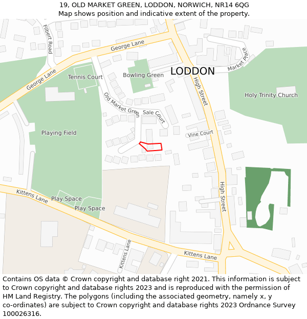 19, OLD MARKET GREEN, LODDON, NORWICH, NR14 6QG: Location map and indicative extent of plot