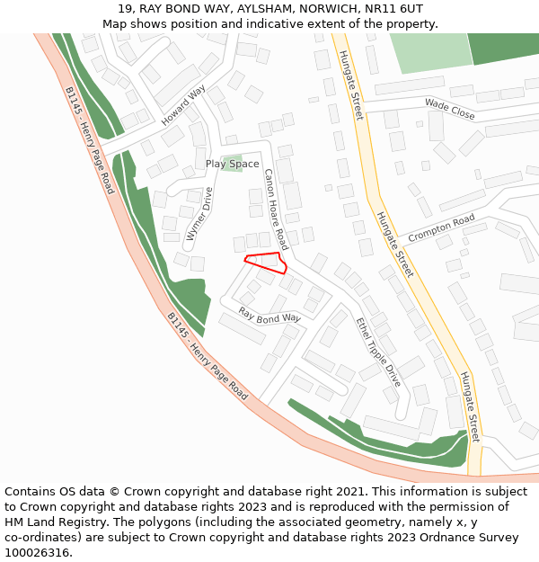 19, RAY BOND WAY, AYLSHAM, NORWICH, NR11 6UT: Location map and indicative extent of plot