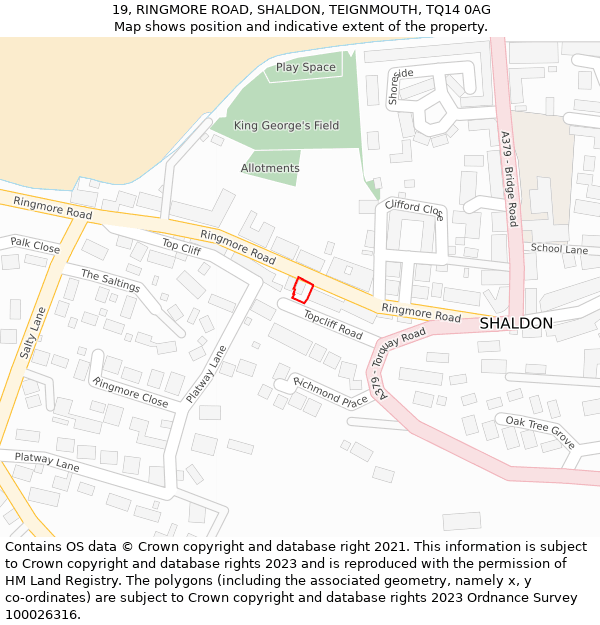 19, RINGMORE ROAD, SHALDON, TEIGNMOUTH, TQ14 0AG: Location map and indicative extent of plot