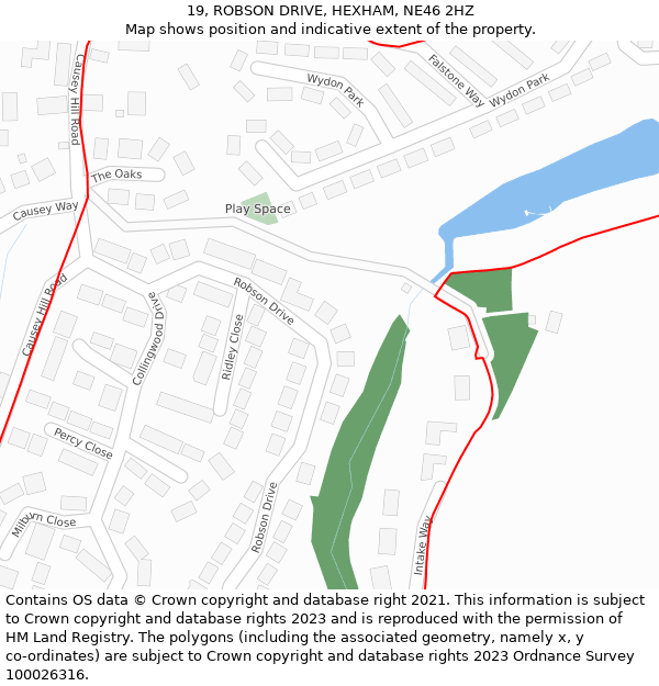 19, ROBSON DRIVE, HEXHAM, NE46 2HZ: Location map and indicative extent of plot