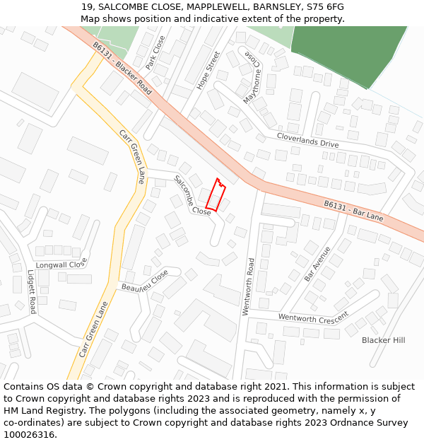 19, SALCOMBE CLOSE, MAPPLEWELL, BARNSLEY, S75 6FG: Location map and indicative extent of plot