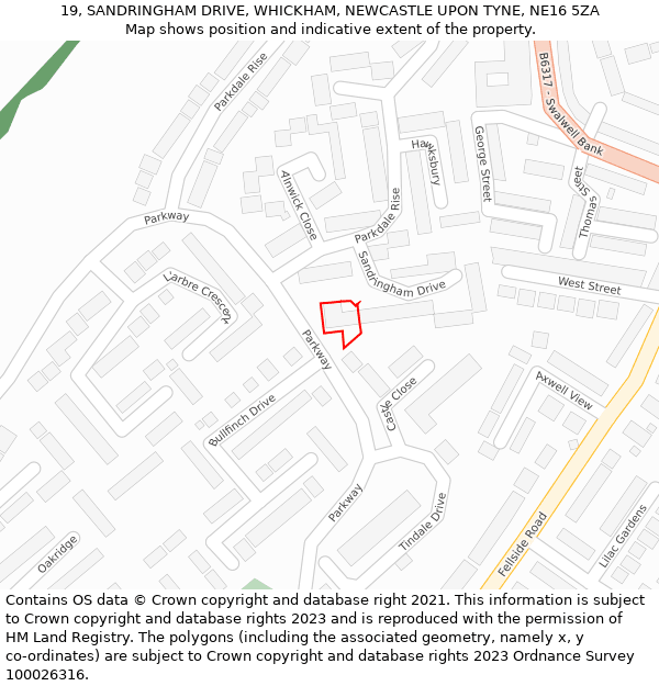 19, SANDRINGHAM DRIVE, WHICKHAM, NEWCASTLE UPON TYNE, NE16 5ZA: Location map and indicative extent of plot