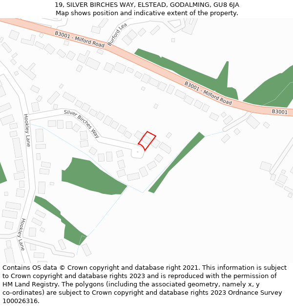 19, SILVER BIRCHES WAY, ELSTEAD, GODALMING, GU8 6JA: Location map and indicative extent of plot