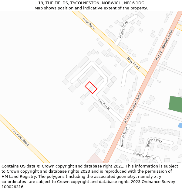 19, THE FIELDS, TACOLNESTON, NORWICH, NR16 1DG: Location map and indicative extent of plot