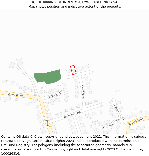 19, THE PIPPINS, BLUNDESTON, LOWESTOFT, NR32 5AE: Location map and indicative extent of plot