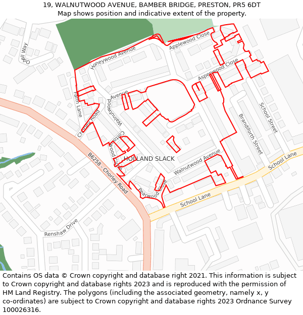 19, WALNUTWOOD AVENUE, BAMBER BRIDGE, PRESTON, PR5 6DT: Location map and indicative extent of plot
