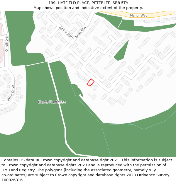 199, HATFIELD PLACE, PETERLEE, SR8 5TA: Location map and indicative extent of plot