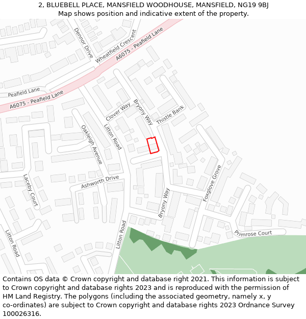 2, BLUEBELL PLACE, MANSFIELD WOODHOUSE, MANSFIELD, NG19 9BJ: Location map and indicative extent of plot
