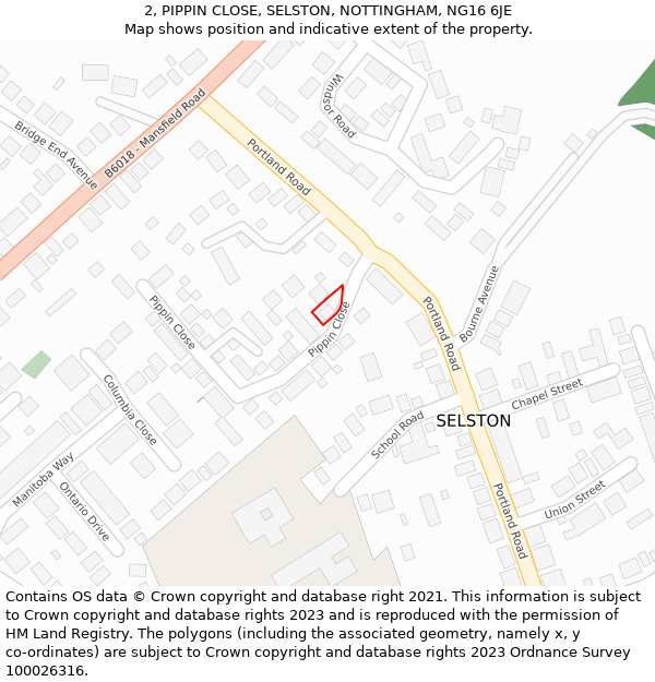 2, PIPPIN CLOSE, SELSTON, NOTTINGHAM, NG16 6JE: Location map and indicative extent of plot