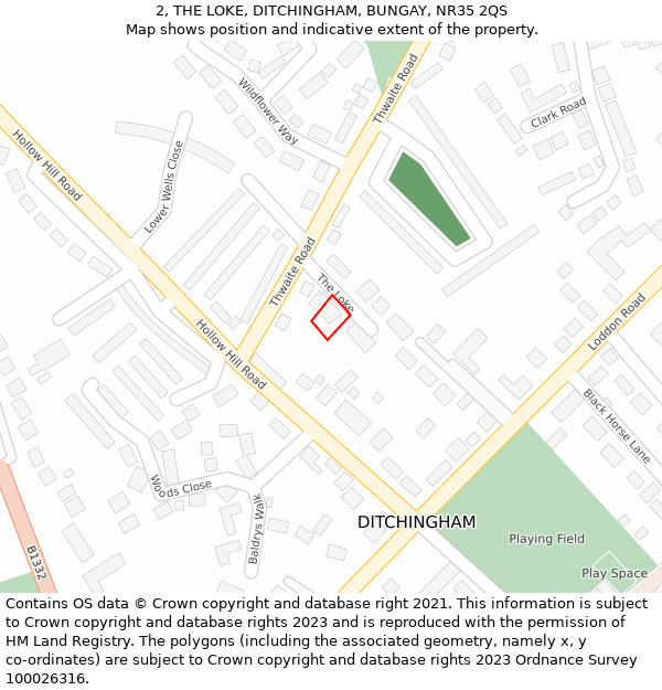 2, THE LOKE, DITCHINGHAM, BUNGAY, NR35 2QS: Location map and indicative extent of plot