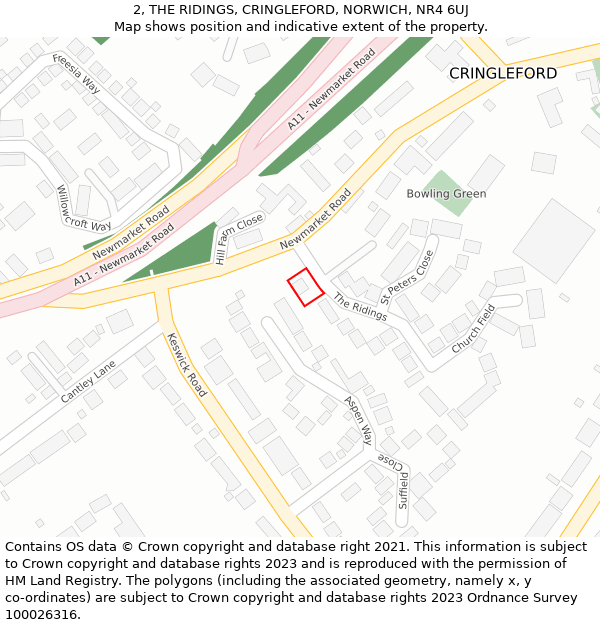 2, THE RIDINGS, CRINGLEFORD, NORWICH, NR4 6UJ: Location map and indicative extent of plot