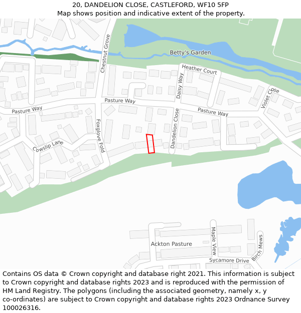 20, DANDELION CLOSE, CASTLEFORD, WF10 5FP: Location map and indicative extent of plot