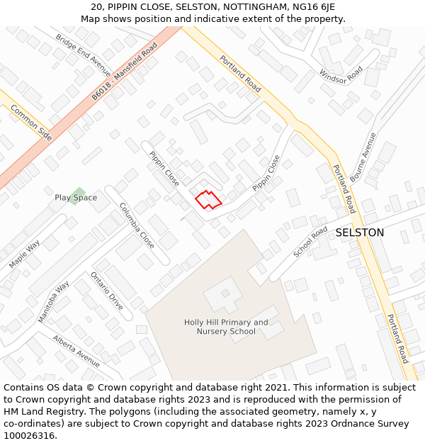 20, PIPPIN CLOSE, SELSTON, NOTTINGHAM, NG16 6JE: Location map and indicative extent of plot