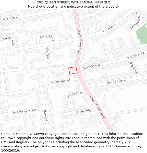 202, QUEEN STREET, WITHERNSEA, HU19 2LG: Location map and indicative extent of plot