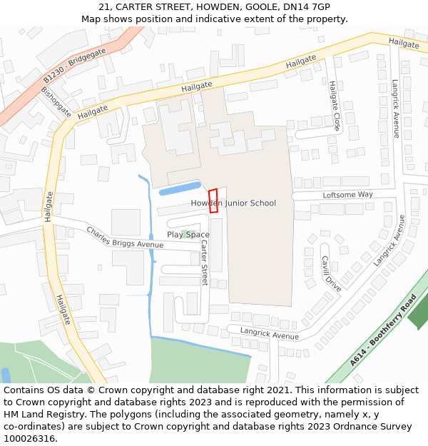 21, CARTER STREET, HOWDEN, GOOLE, DN14 7GP: Location map and indicative extent of plot